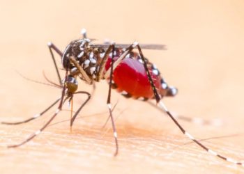 მოსკოვი საქართველოს ლუგარის ლაბორატორიიდან რუსეთისკენ „საეჭვო კოღოების“ გაშვებაში ადანაშაულებს