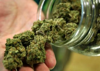 სასამართლომ 10 გრამამდე გამომშრალი მარიხუანის ქვეყანაში შემოტანისთვის თავისუფლების აღკვეთის გამოყენება არაკონსტიტუციურად ცნო