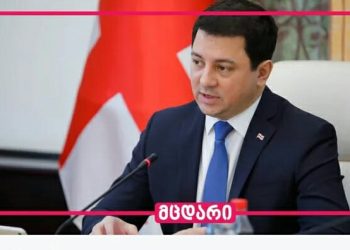 არჩილ თალაკვაძის ეს განცხადება არის მცდარი – ფაქტ-მეტრის ვერდიქტი – დეტალები