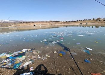 “ამის გამკეთებელი ხალხი რაის ფასეულობებზე მელაპარაკება, თქვენი ღორი დედას@ევეცი მე!” – ლუკა ბაქანიძე