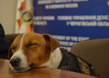 “ასობით ადამიანი სიკვდილს გადაარჩინა! დღესაც იმდენი იშრომა, რომ თათბირზე ჩამოეძინა!” – გეგუჩაძე