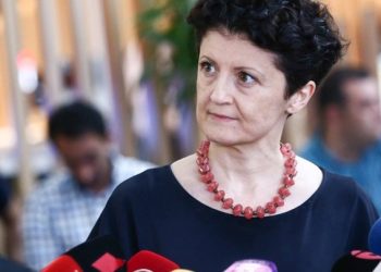 “ჩვენ უმოკლეს ვადებში ველოდებით უკრაინის მთავრობისა და შესაბამისი სამსახურებისგან მტკიცებულებებს” – წულუკიანი