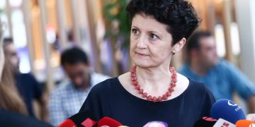 “ჩვენ უმოკლეს ვადებში ველოდებით უკრაინის მთავრობისა და შესაბამისი სამსახურებისგან მტკიცებულებებს” – წულუკიანი