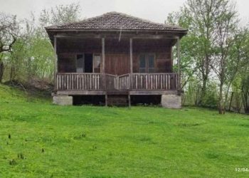 კულტურის სამინისტრო აკაკი შანიძის სახლ-მუზეუმის რეაბილიტაციის პროექტზე მუშაობას იწყებს