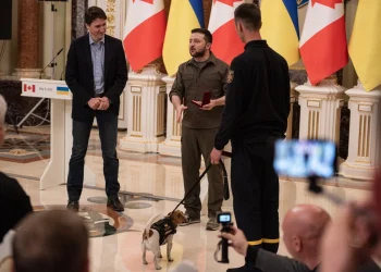 ვოლოდიმირ ზელენსკიმ “პატრონი” დააჯილდოვა (ვიდეო)