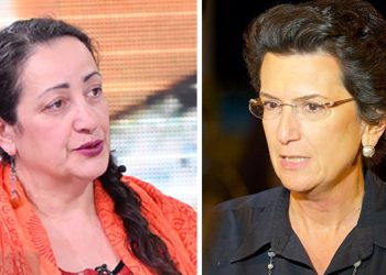 “ანზორიკის დაცვის კაჩავს ვუყურე… საკუთარი თვალით და ყურით ნანახ–გაგონილს გიამბობთ” – ანა მიქაძე