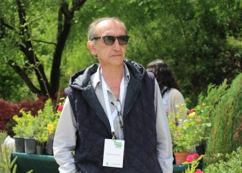 “ქალბატონი ელჩის მიერ ამ შეკითხვებზე პასუხების გაცემა ძალიან ბევრ რამეს მოჰფენს ნათელს” – გია გაბრიჭიძე