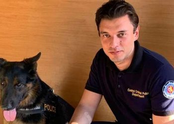 ვინ არის ალექსანდრე გულუა, რომელიც დღეს ღირსების ორდენით დააჯილდოვეს