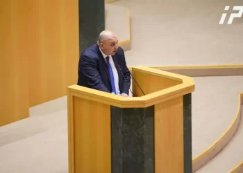 რიკოთის კონკრეტული მონაკვეთები წელს გაიხსნება – ირაკლი ქარსელაძე