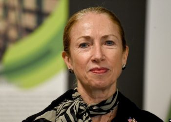 “არცერთი პოლიტიკური ლიდერისგან საქართველოს ომში ჩათრევის მცდელობა არ მომისმენია. მეტიც..” – დეგნანი