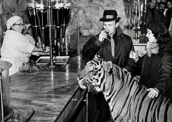 “თბილისი, 1964 წ. – ანუ ამ ქალაქს გიჟები და სიგიჟეები არასოდეს აკლდა” – ბატიაშვილი