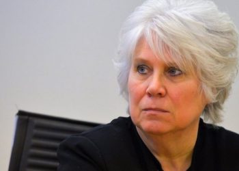 „ცოტა ვერ გავიგე, მე ვარ კრიმინალი? თუ ვინ ვარ?…ჩემი რჩევა იქნება, რომ მიიღოთ ჩვენი კრიტიკა” – ევროპარლამენტარი კობახიძის განცხადებაზე