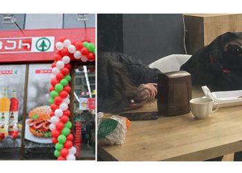 “სპარის კონსულტანტები ღამის სამ საათზე – ანაზღაურება საშინელი და ელემენტარულ პირობებსაც რომ არ უქმნიან” – წერილი სოციალური ქსელიდან