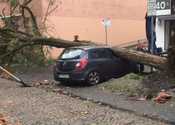 გერმანიაში ტორნადოს შედეგად 1 ადამიანი დაიღუპა და 43 დაშავდა