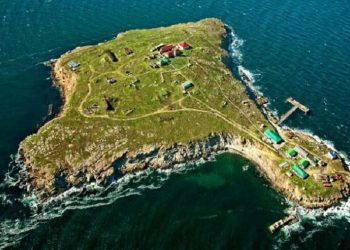 კუნძულ ზმეინთან კიდევ ერთი რუსული ხომალდი გაანადგურეს (ვიდეო)