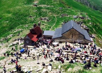 დღეს ლომისობაა