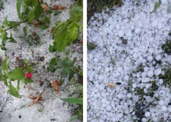 სეტყვა საგარეჯოში – “ზარალი უდიდესია… სასწრაფოდ აუნაზღაურეთ ხალხს” – დათო დიღმელაშვილი