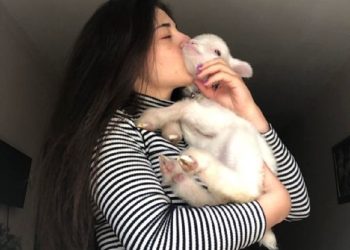 „ეს არის უაზრო, სასტიკი და ამაზრზენი ტრადიცია, რომელსაც არასდროს ვაღიარებ!“