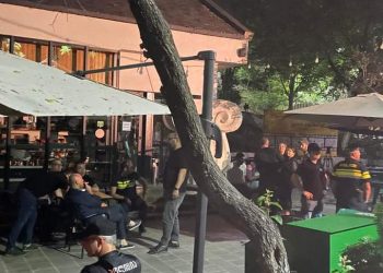 “ასობით პოლიციელი დარაჯობს 1 დროშას” – ნატა ფერაძე