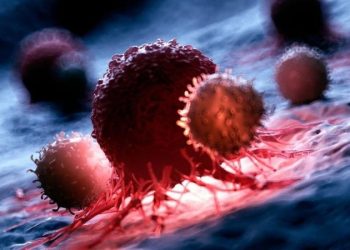 მეცნიერებმა სიმსივნესთან ბრძოლის ახალი გზა აღმოაჩინეს