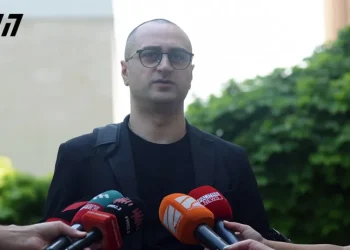 ნიკა კვარაცხელიას მკვლელობის ნაწილში კაკულიებისთვის ბრალის დამძიმებას გამოვრიცხავ – ადვოკატი