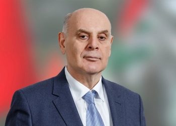 აფხაზეთში ნატო-ს თვითმფრინავების მიერ დიდი რაოდენობით დარღვევები ფიქსირდება – ასლან ბჟანია