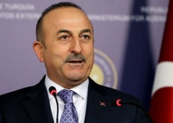 მსოფლიოში რეალურად საკვების კრიზისია – ჩავუშოღლუ