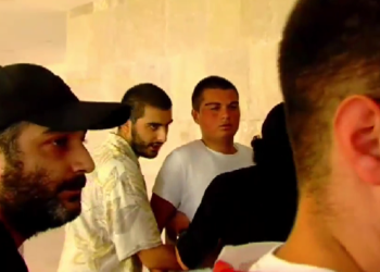 ოცნება სტუდენტებს პარტაქტივს ახვედრებს – სია