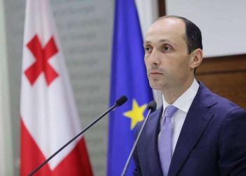 ამ რთულ ვითარებაში განსაკუთრებით კარგად ახერხებს ქვეყნის ინტერების დაცვას – დავითაშვილი პრემიერის გადადგომაზე