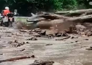 შოკისმომგვრელი ვიდეო ( +18)  – ფშავში ნიაღვარმა მამაკაცი გაიტაცა