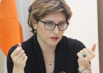 ხათუნა სამნიძეს პარლამენტთან თავს დაესხნენ