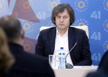 “უკრაინისგან და მოლდოვისგან განსხვავებით, სტატუსის მისაღებად მსხვერპლი დღეს არ გაგვიღია” – კობახიძე