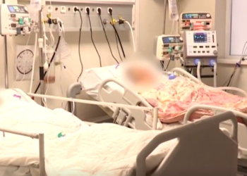 დიდი ალბათობით, საქართველოში, მაიმუნის ყვავილის პირველი შემთხვევა დაფიქსირდა