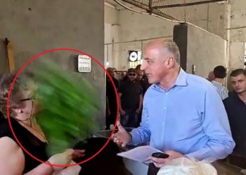 გორში ბადრი ჯაფარიძეს მწვანილები ესროლეს