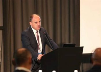 დავით ნარმანია განახლებადი ენერგიის ინვესტიციების შესახებ კონფერენციაზე სიტყვით წარდგა