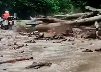 არაგვის ხეობაში მამაკაცის ცხედარი იპოვეს