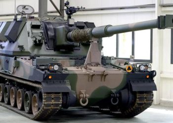 “აი, ასეთია უკრაინა-პოლონეთის ძმობა!” – ნიკო მიქაია