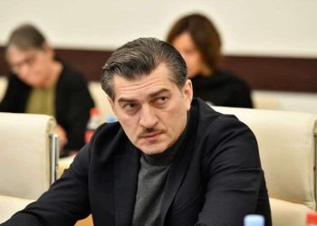 “უმრავლესობა ადამიანების, რაც გამოჩნდა აქციაზე, ქართული ოცნების დამსახურებაა ” – ყაველაშვილი