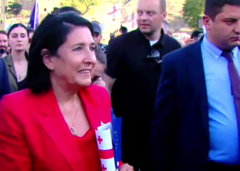 საქართველოს პრეზიდენტი ევროკავშირის ელჩთან ერთად აქციაზე მივიდა