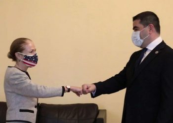 “FSB-ის სახელმძღვანელოები წაკითხული არ მაქვს” – პაპუაშვილი აშშ–ის ელჩს