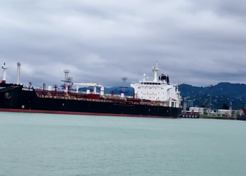 “პორტში შემოსული თურქეთის დროშის ქვეშ მცურავი გემი არ არის სანქცირებული” – თამარ იოსელიანის განმარტება