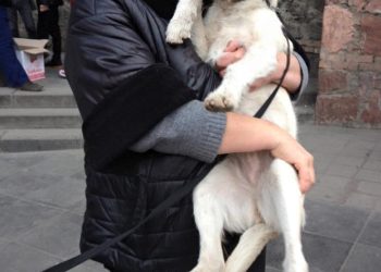 “პირობას გაძლევთ რომ თამარის მოხსნას მოყვება ძალიან დიდი ამბავი! და არ შეგარჩენთ არავინ” – ტასო ლოსაბერიძე