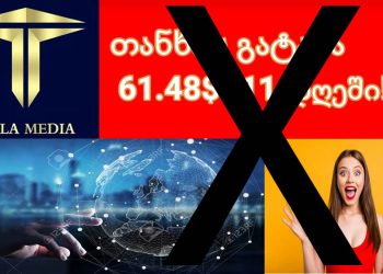 პირამიდა Teslamedia, რომელიც ჩამოიშალა, ყველაზე პოპულარული საქართველოში იყო