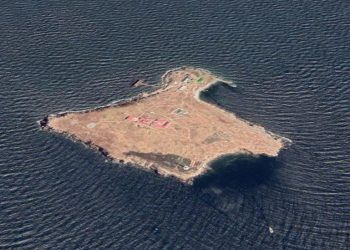 “რუსკი ვაენი კარაბლ! იძი ნა @უი!” – კუნძული ზმეინი ოკუპანტებისგან თავისუფალია