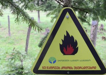 ტყეში კოცონის დანთებისას დაიცავით უსაფრთხოების წესები – გარემოს დაცვის სამინისტრო მოსახლეობას აფრთხილებს