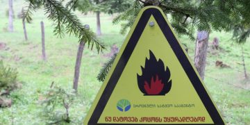 ტყეში კოცონის დანთებისას დაიცავით უსაფრთხოების წესები – გარემოს დაცვის სამინისტრო მოსახლეობას აფრთხილებს