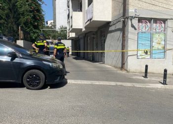 სუს-ი სოსო გოგაშვილის მეორე შვილის, ნიკოლოზ გოგაშვილის ბინასაც ჩხრეკს