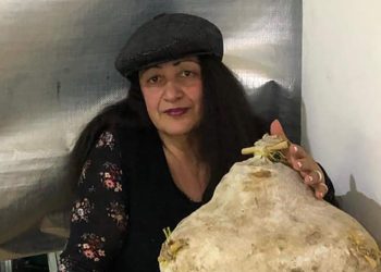 “მადლობა ამერიკას! რაღაცეები ისწავლოს მისგან მსოფლიომ” – ანა მიქაძე