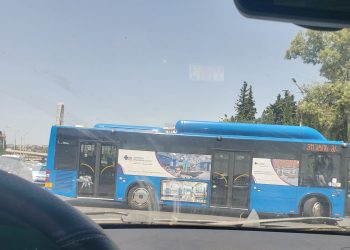 “ავტობუსის მძღოლს მობეზრდა საცობში და…” – რას წერს ნინო სტურუა