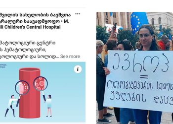 “სრული ჯოჯოხეთი ამ კლინიკაში… ვინც გადარჩება ხომ კარგი, ვინც არადა ფეხებზე კიდიათ…. 9 თვის მართას დიაგნოზიც არასწორი დაუსვეს…” – მარიამ მითაიშვილი